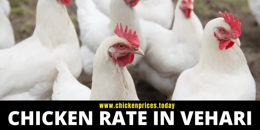 Chicken Rate in Vehari